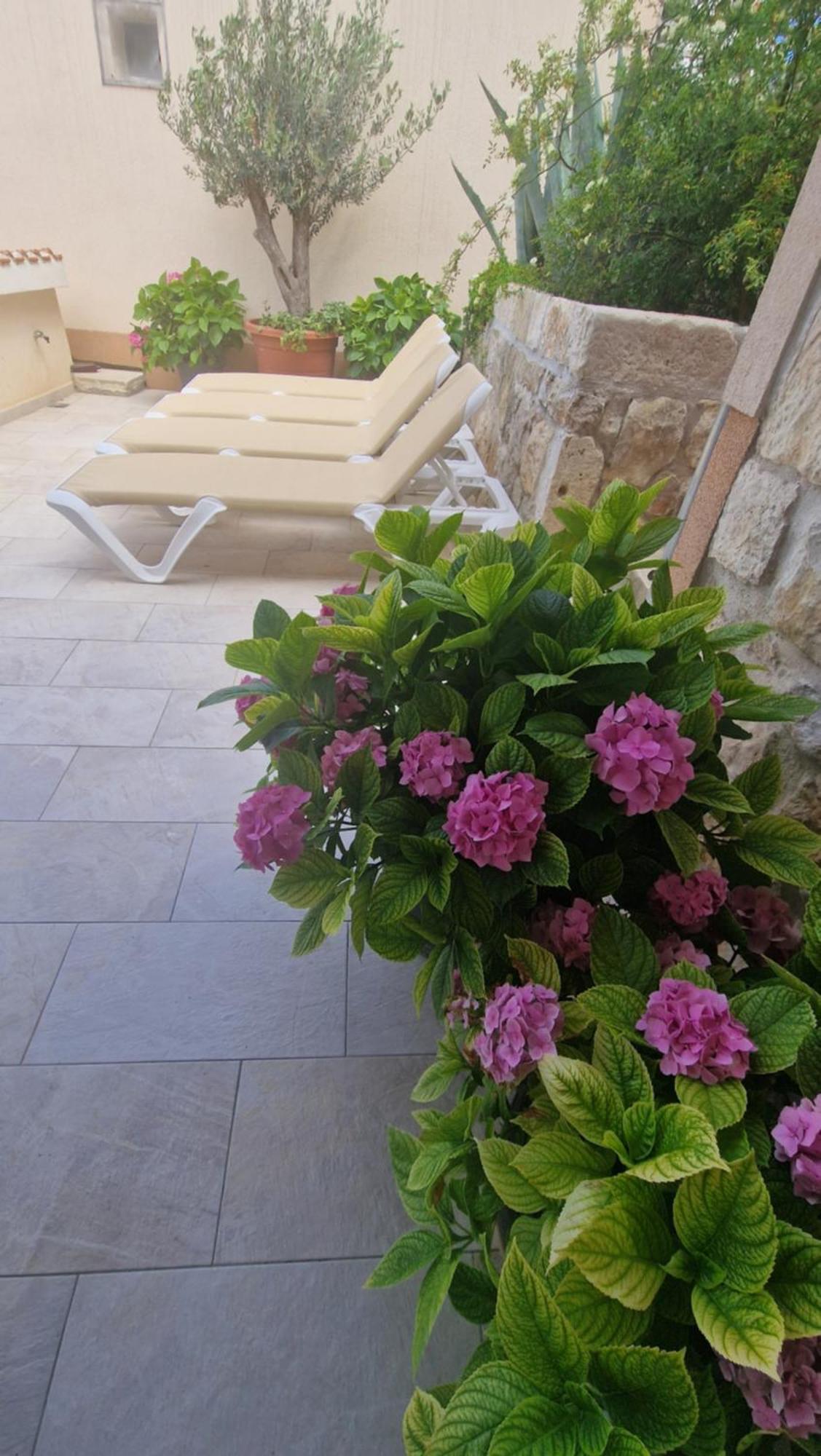 Ante 2 Apartment